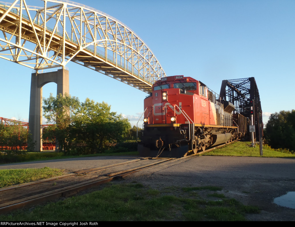 CN 8954